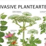 invasive planter